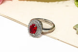 The Scarlet Set